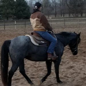 Meet your Posher, Ann